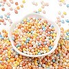 6/0 Glass Seed Beads SEED-L011-08A-06-2