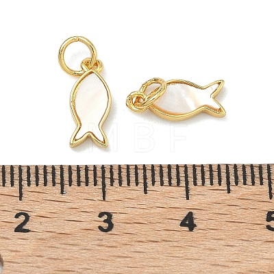 Natural White Shell Fish Charms KK-F926-04B-1