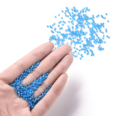 12/0 Grade A Round Glass Seed Beads SEED-Q010-M545-1