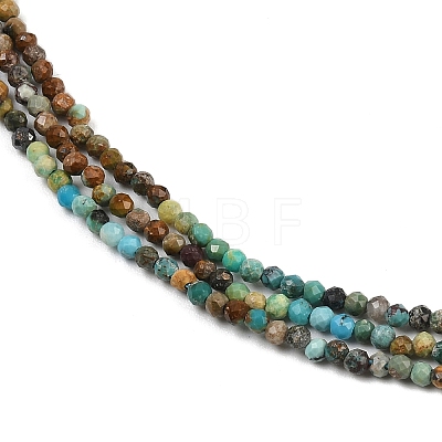 Natural Turquoise Beads Strands G-K366-B03-02-1