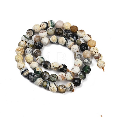 Natural Fire Crackle Agate Beads Strands G-C082-A01-49-1