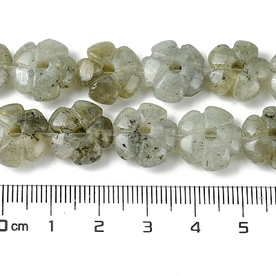 Natural Labradorite Beads Strands G-H023-B19-01-1