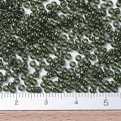 MIYUKI Round Rocailles Beads X-SEED-G007-RR0306-1