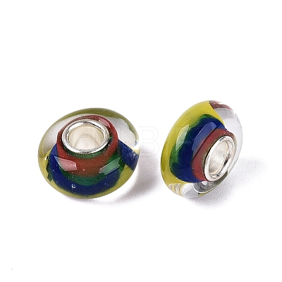 Handmade Lampwork & Brass Core European Beads LAMP-N044-08S-01-1