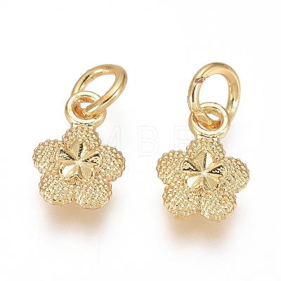 Electroplated Alloy Charms PALLOY-G267-08G-1