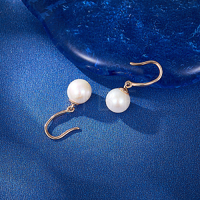 925 Sterling Silver Dangle Earrings CN7492-1