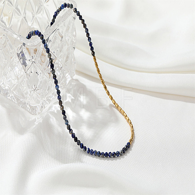 Natural Lapis Lazuli & Stainless Steel Beaded Necklace CH0426-2-1