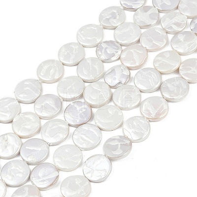 Electroplate Porcelain Imitation Pearl Beads Strands BSHE-Z009-02A-1