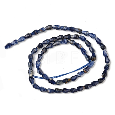 Natural Sodalite Beads Strands G-C080-B05-01A-1