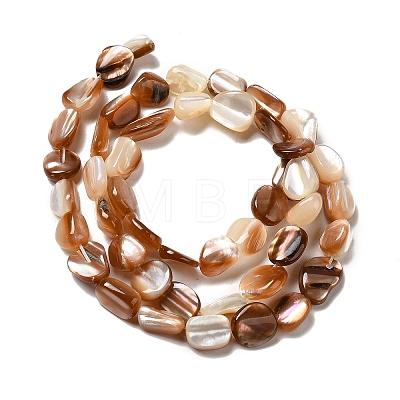 Natural Sea Shell Beads Strands SHEL-K006-16A-1