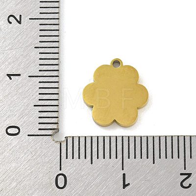 316 Surgical Stainless Steel Enamel Charms STAS-M073-33A-02G-1-1