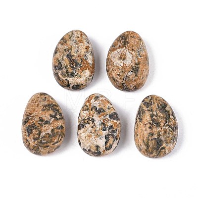 Natural Leopard Skin Jasper Pendants G-N349-08K-1