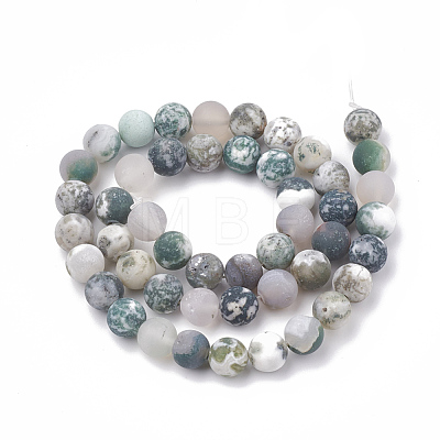 Natural Tree Agate Beads Strands G-T106-036-1