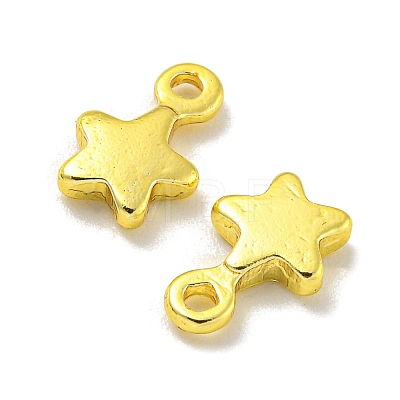 Rack Plating Brass Charms KKB-L075-013G-01-1