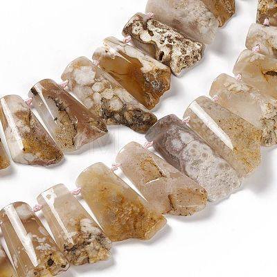 Natural Cherry Blossom Agate Beads Strands G-F719-12-1