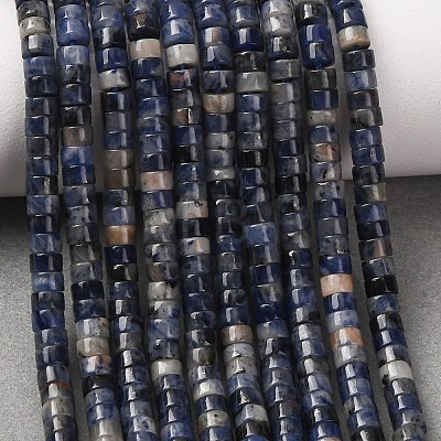 Natural Sodalite Beads Strands G-P468-19-1