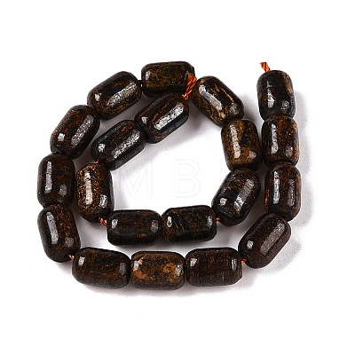 Natural Bronzite Beads Strands G-G980-42B-1