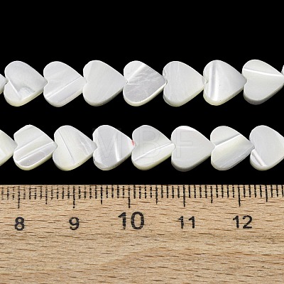 Natural Trochid Shell/Trochus Shell Beads Strands SH-CBA2978-19B-1