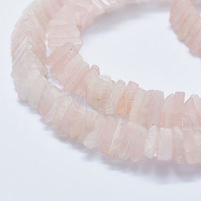 Natural Rose Quartz Beads Strands G-F631-J02-1