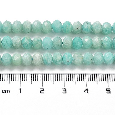 Natural Amazonite Beads Strands G-J400-C04-06-1