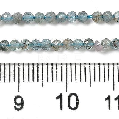 Natural Apatite Beads Strands G-C137-A01-01-1