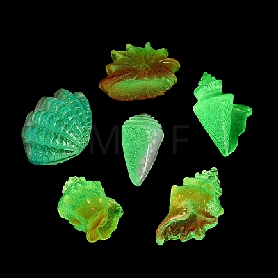 Luminous Resin Shell Shape & Conch Display Decorations RE-CBA17C4-22-1