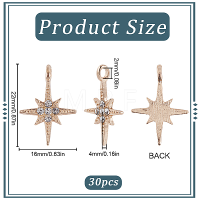 30Pcs Alloy Rhinestone Pendants FIND-SC0011-04-1
