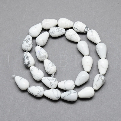 Natural Howlite Gemstone Bead Strands G-T004-19-1