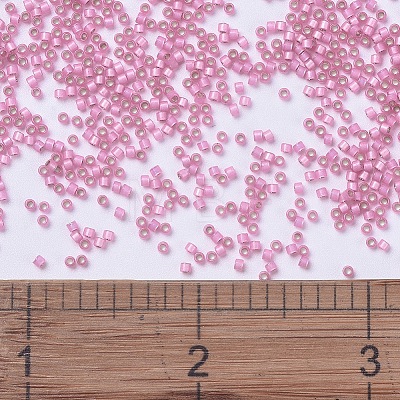 MIYUKI Delica Beads SEED-X0054-DB0625-1