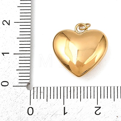 304 Stainless Steel Pendants STAS-H244-06G-02-1