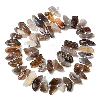 Natural Botswana Agate Beads Strands G-L649-A06-01-1