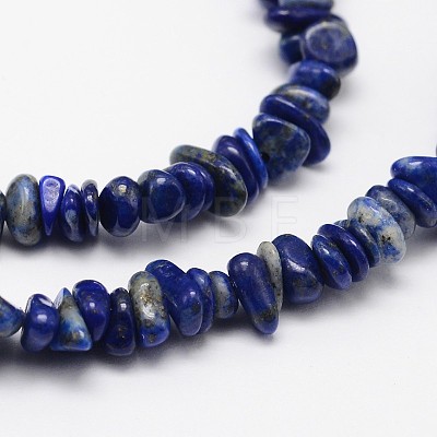 Chips Natural Lapis Lazuli Beads Strands X-G-N0164-46-1