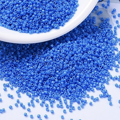 MIYUKI Delica Beads SEED-MY11-DB2134-1