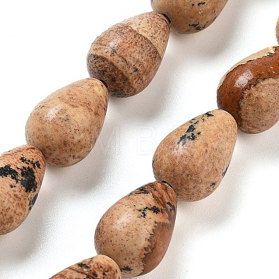 Natural Picture Jasper Beads Strands G-B106-A18-02-1