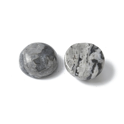 Natural Map Stone Cabochons G-Z075-06A-1