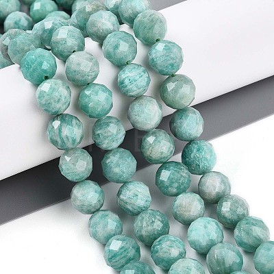 Natural Amazonite Beads Strands G-S345-10mm-25-1