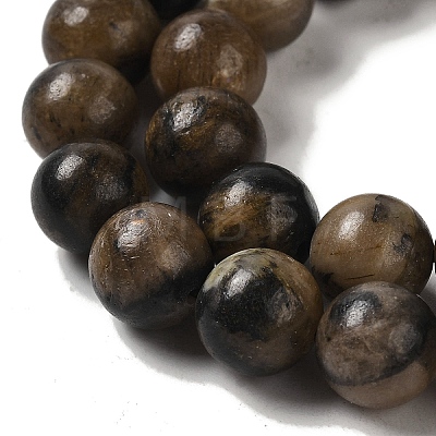 Natural Chiastolite Beads Strands G-Q161-A03-04-1