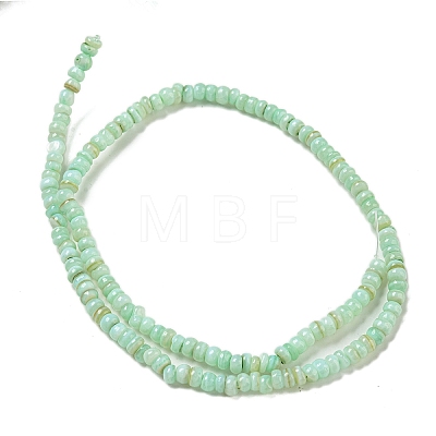 Dyed Natural Freshwater Shell Beads Strands X1-BSHE-G039-07E-1