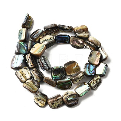 Natural Abalone Shell/Paua Shell Beads Strands BSHE-D300-01A-1