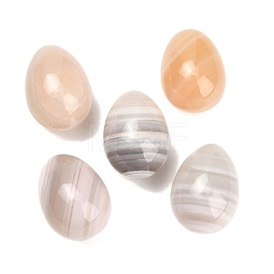 Natural Botswana Agate Egg Stone GG-L654-H02-11-1