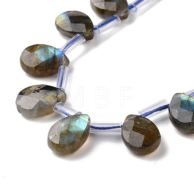 Natural Labradorite Beads Strands G-I246-09-A-1