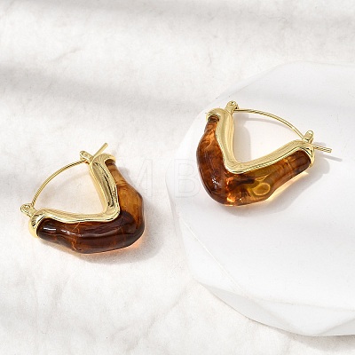 Brass Resin Hoop Earrings EJEW-P333-11A-G02-1