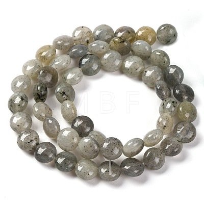 Natural Labradorite Beads Strands G-T047-A18-01-1