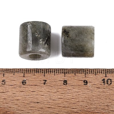Natural Labradorite European Beads G-P520-05K-1
