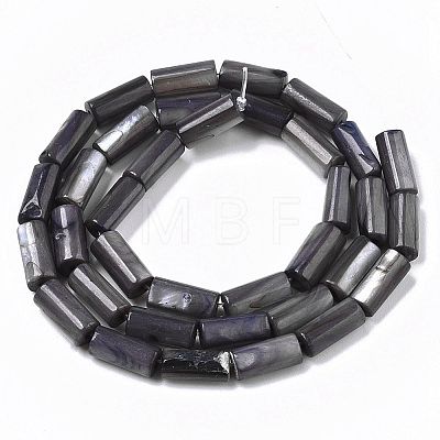 Natural Freshwater Shell Beads X-SHEL-R047-01A-1