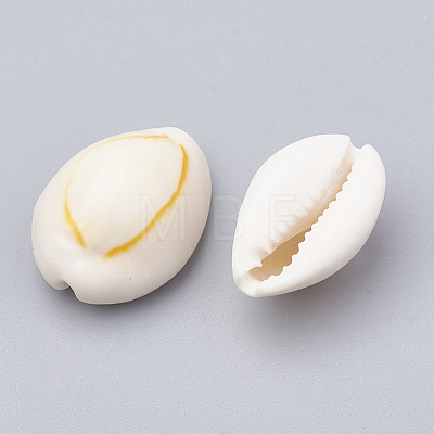 Cowrie Shell Beads SSHEL-T004-06-1