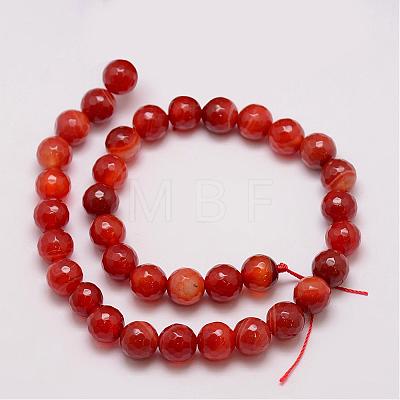 Natural Striped Agate/Banded Agate Bead Strands G-G882-10mm-D03-1