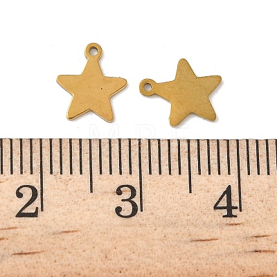 304 Stainless Steel Charms STAS-K306-15C-G-1