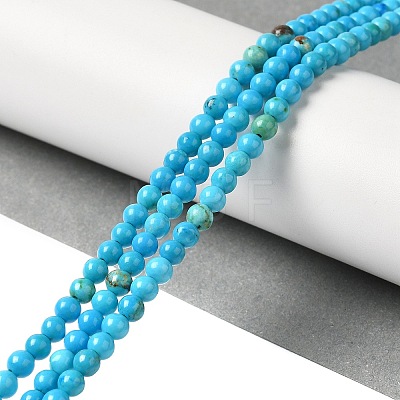 Dyed Natural Magnesite Beads Strands G-Q181-B01-01-1