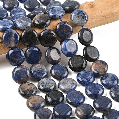 Natural Sodalite Beads Strands G-L648-B07-15mm-1